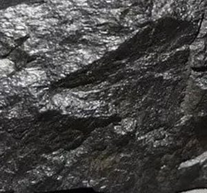 Tantalum ore